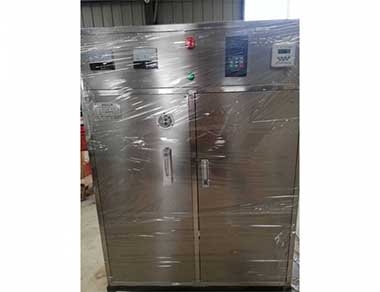 小（xiǎo）型水冷式臭氧發生器